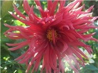 99f58a99-Picture 011.jpg